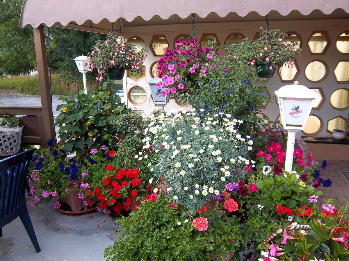 Hotel&Pension Aßmann Hochkirch Dış mekan fotoğraf
