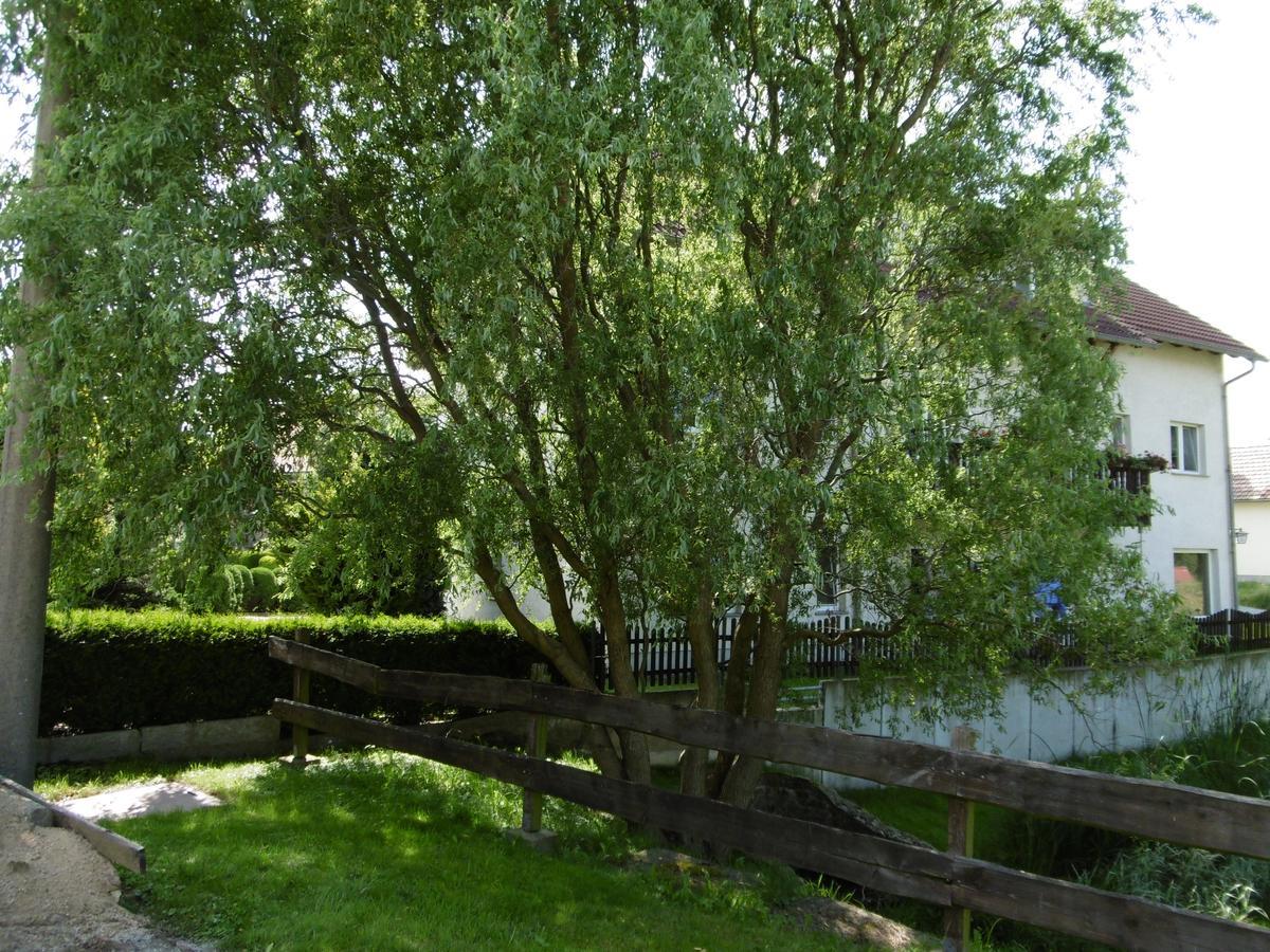 Hotel&Pension Aßmann Hochkirch Dış mekan fotoğraf