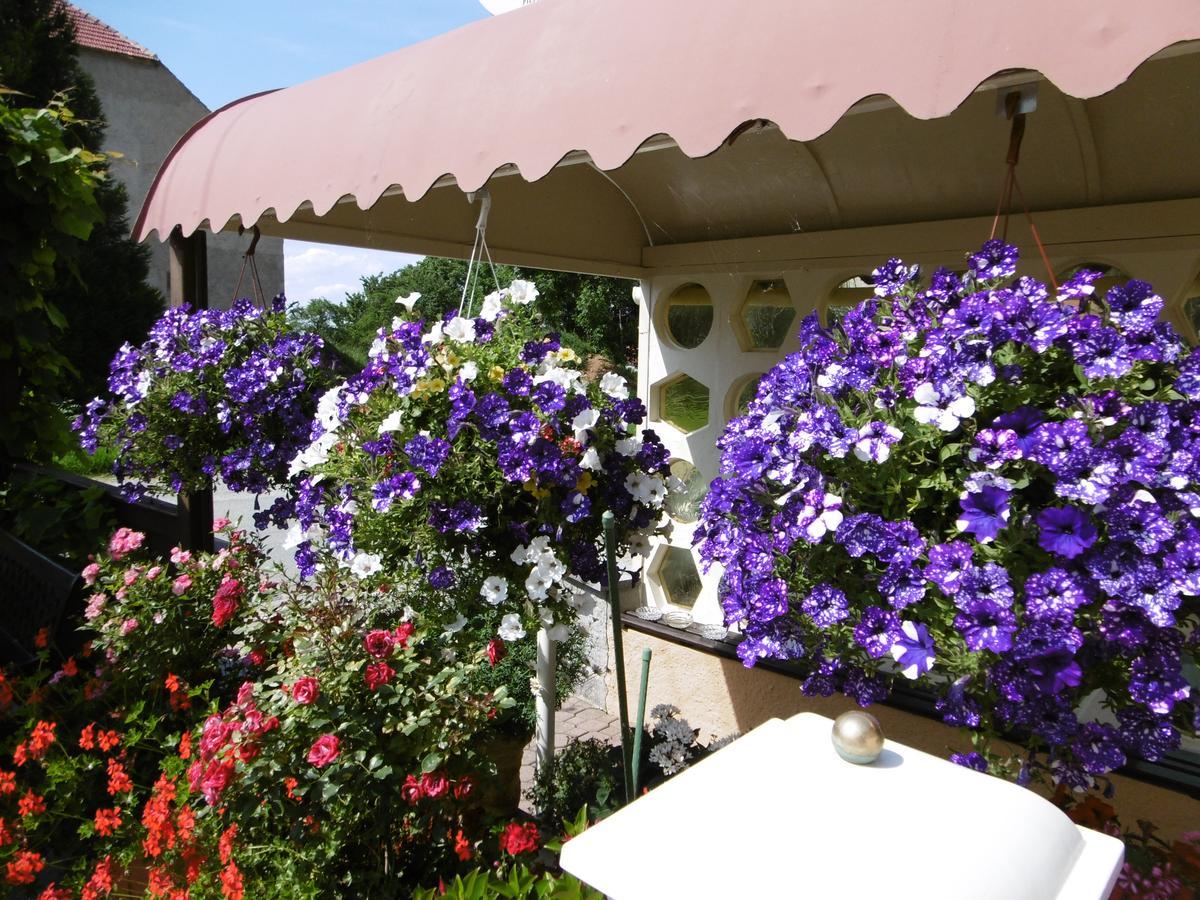 Hotel&Pension Aßmann Hochkirch Dış mekan fotoğraf